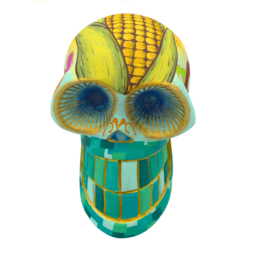 Cráneo Zapoteca - Image 3