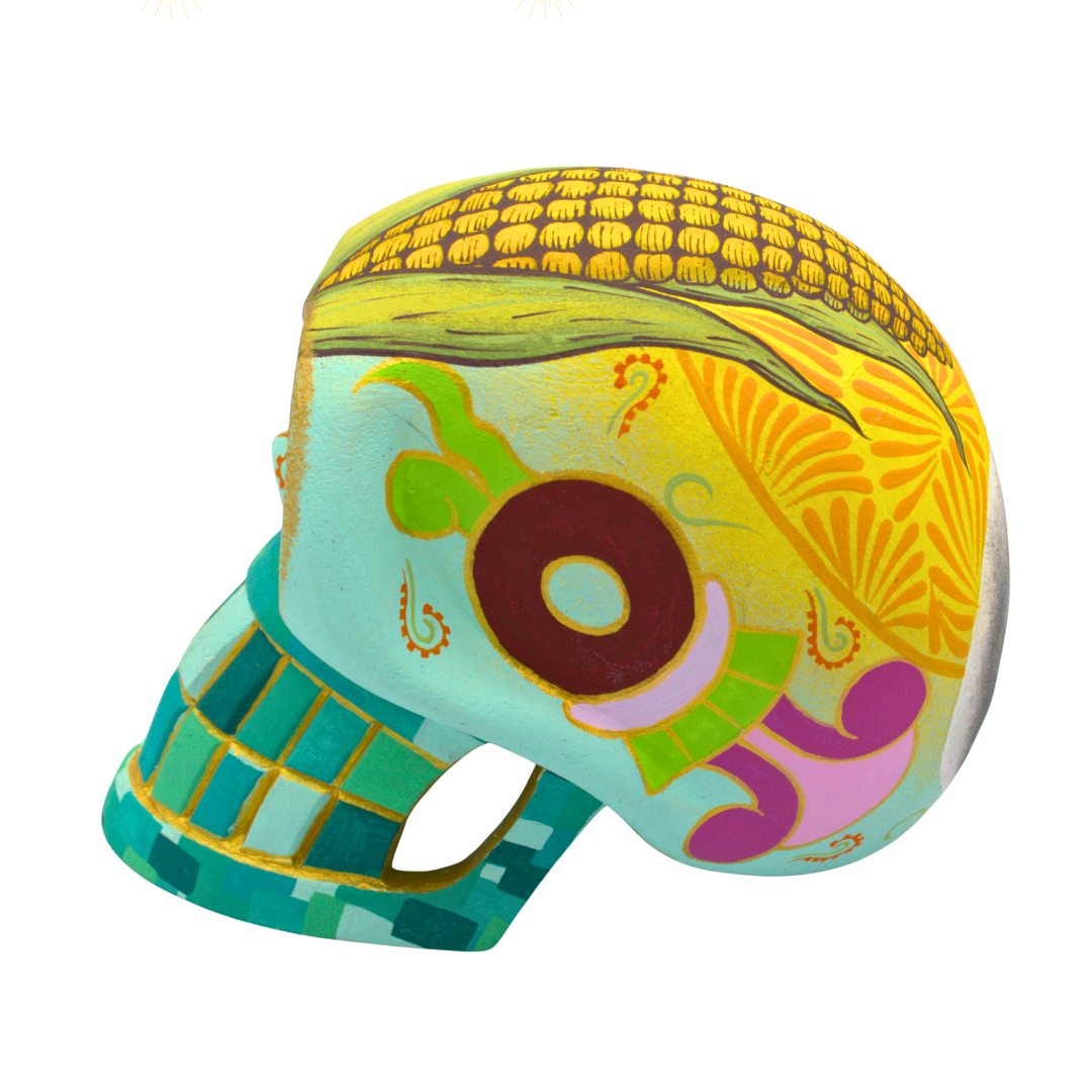 Cráneo Zapoteca - Image 4