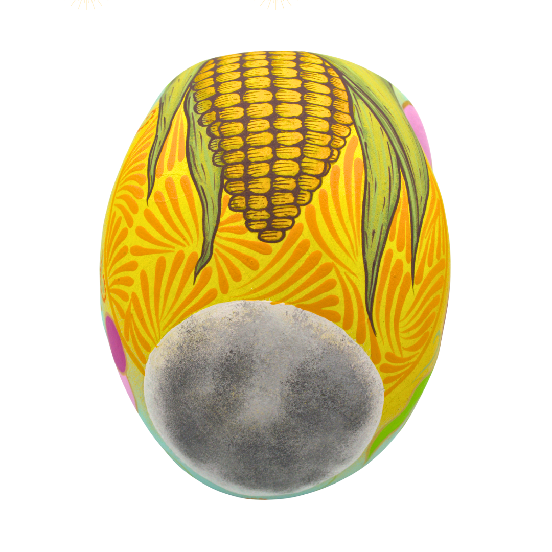 Cráneo Zapoteca - Image 5