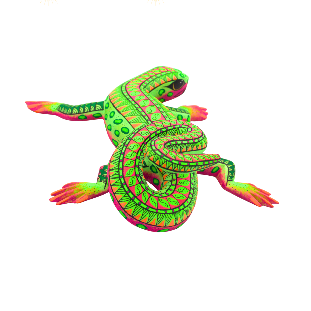 Iguana Verde - Image 4