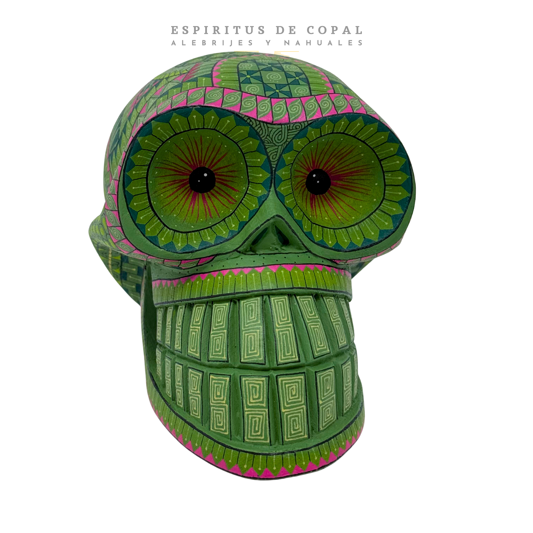 Cráneo Nopal | Renacimiento y Resistencia | Hecho a Mano | Espíritus de Copal | Oaxaca - Image 2